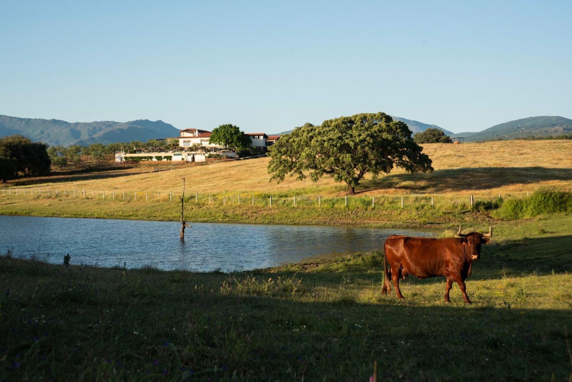 Habitat Cigueena Negra Valverde del Fresno Bagian luar foto
